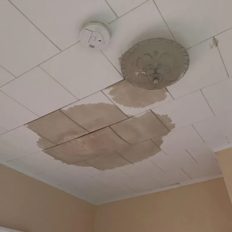 Ceiling Water Damage Repair in Wheeler County, GA