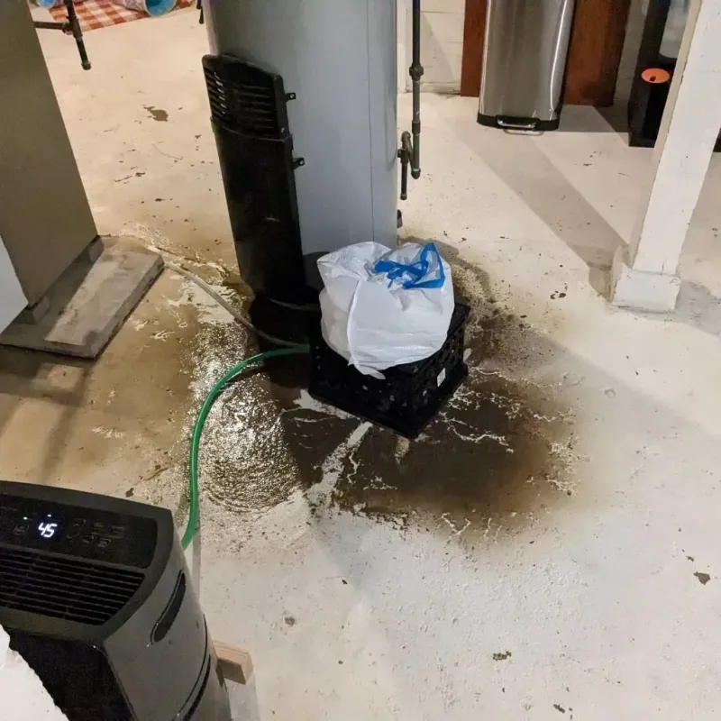Sewage Backup Cleanup Service in Wheeler County, GA